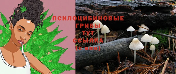 mix Армянск