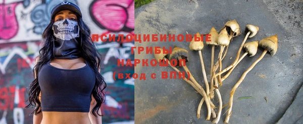 МДПВ Покровск