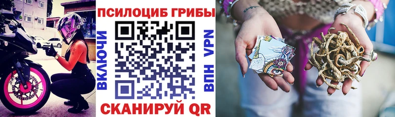 Псилоцибиновые грибы Cubensis  KRAKEN как зайти  Новый Оскол 